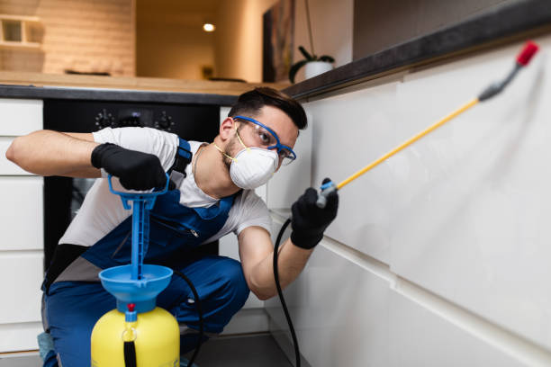 Best Affordable Pest Control Services  in Hrisburg, AR