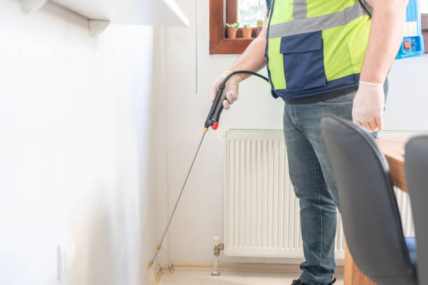 Best Termite Control Services  in Hrisburg, AR