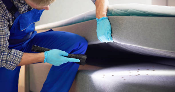 Best Pest Inspection Near Me  in Hrisburg, AR