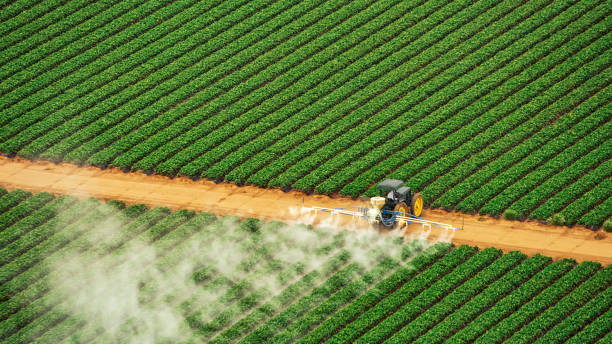 Best Mosquito Control Services  in Hrisburg, AR