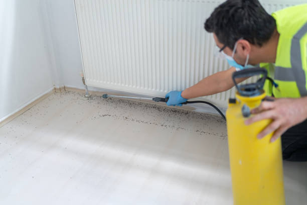 Best Pest Removal Services  in Hrisburg, AR